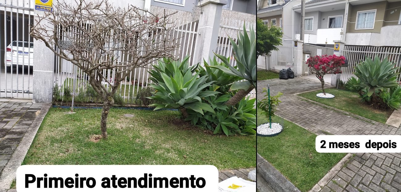 Paisagismo e Jardinagem — R20 Limpeza e Higienização