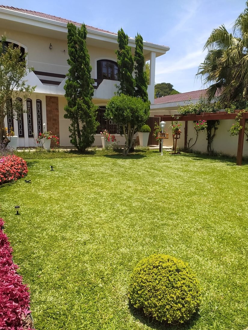 Paisagismo e Jardinagem — R20 Limpeza e Higienização